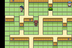 screenshots/Game Boy Advance/Pokemon - Emerald - Ruby - Sapphire/Pokemon Sapphire (Eng) 030.png
